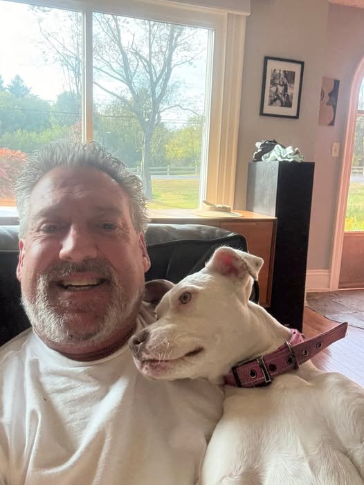 Tim Nurnberg Accident, Harwinton Connecticut, Death: Tim Nurnberg Died Following Tragic Motorcycle Accident Alongside Eran Troy Near Millerton, New York